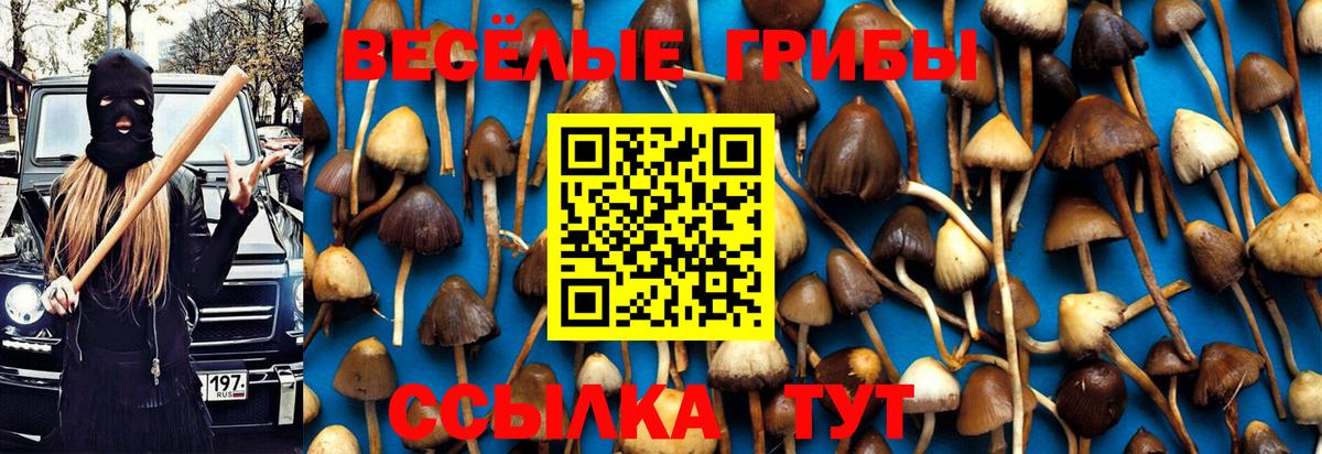 Псилоцибиновые грибы MAGIC MUSHROOMS Комсомольск-на-Амуре