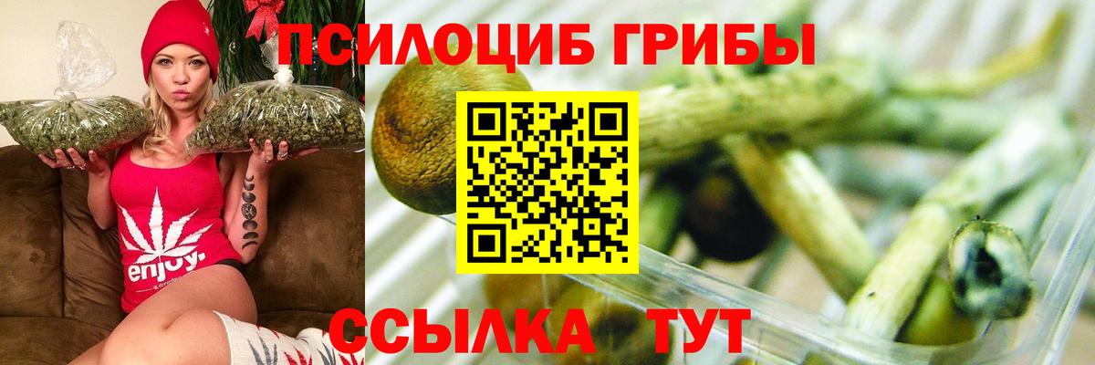 Псилоцибиновые грибы ЛСД  наркошоп  Комсомольск-на-Амуре  Вход с VPN 